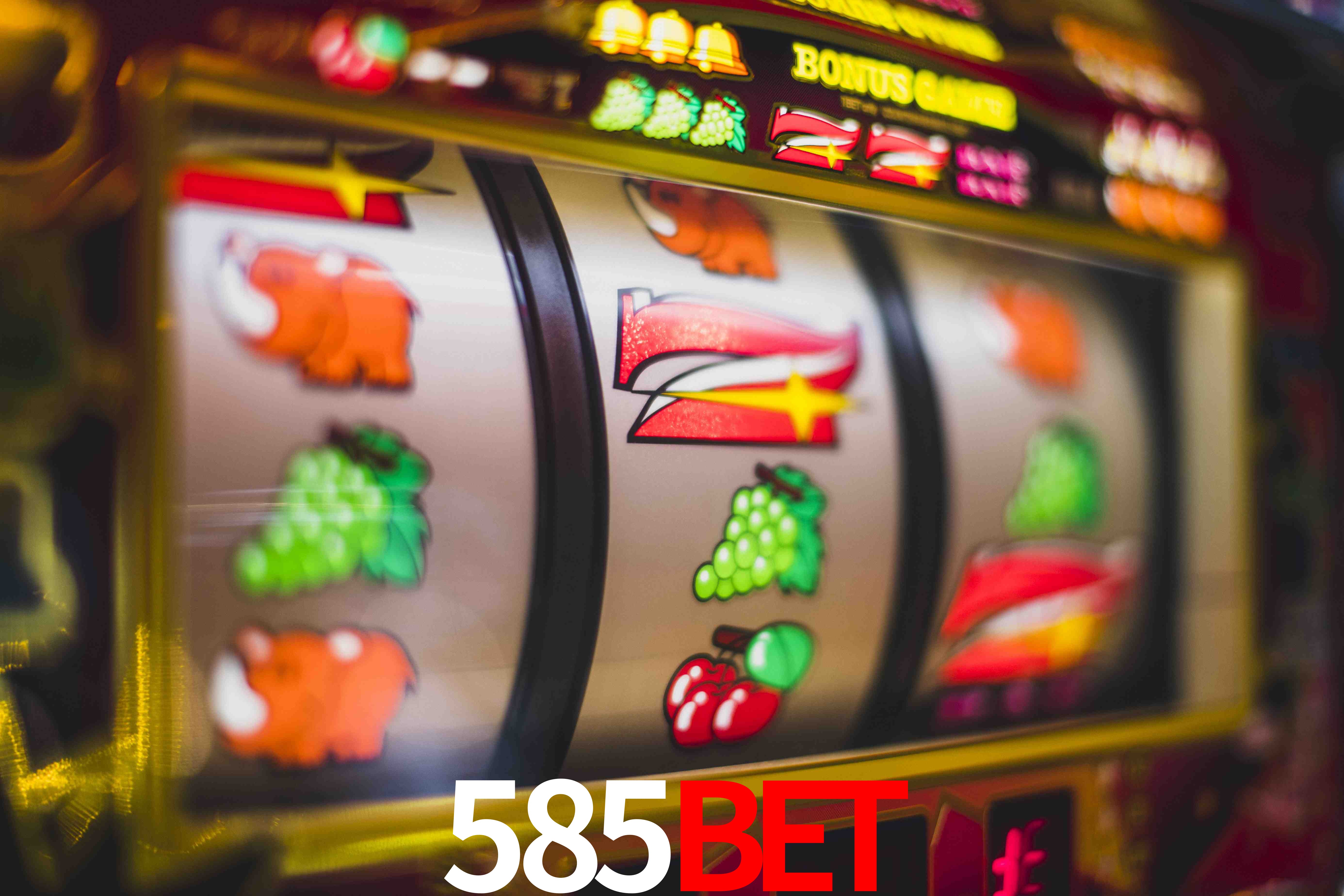 Football Betting 585bet